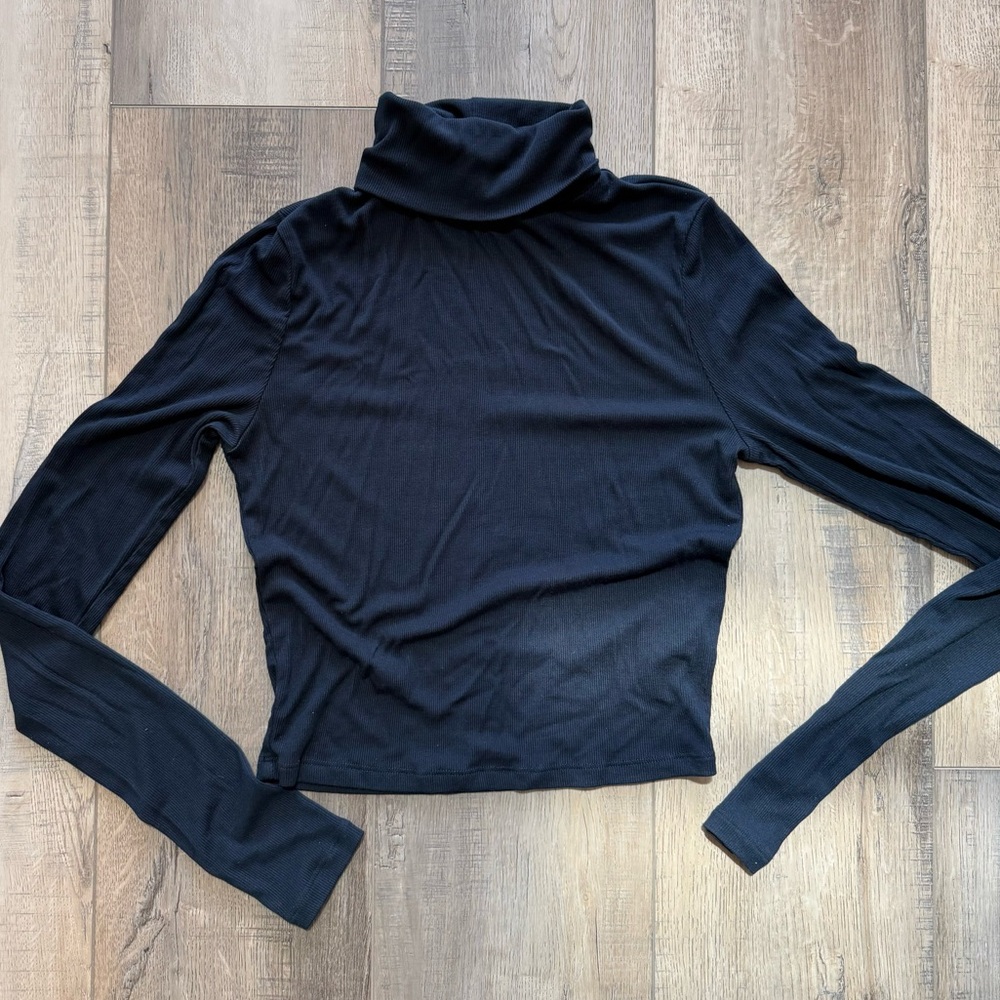 Aritzia sunday best cropped ribbed turtleneck
